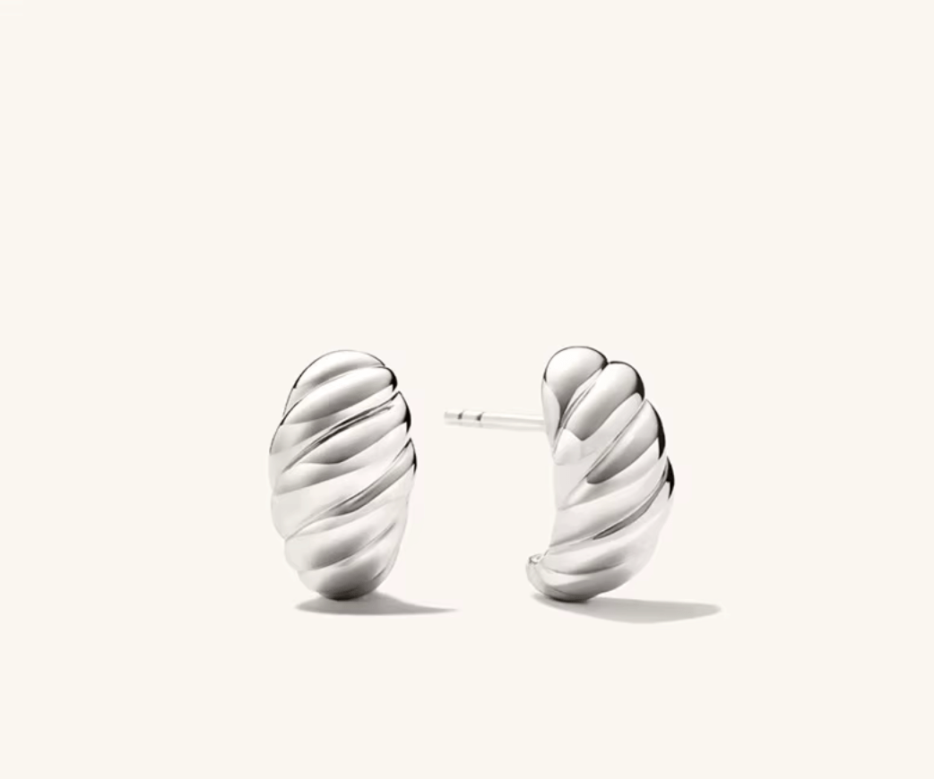 Vintage Croissant Stainless Steel Hoop Earrings - AnoaShop