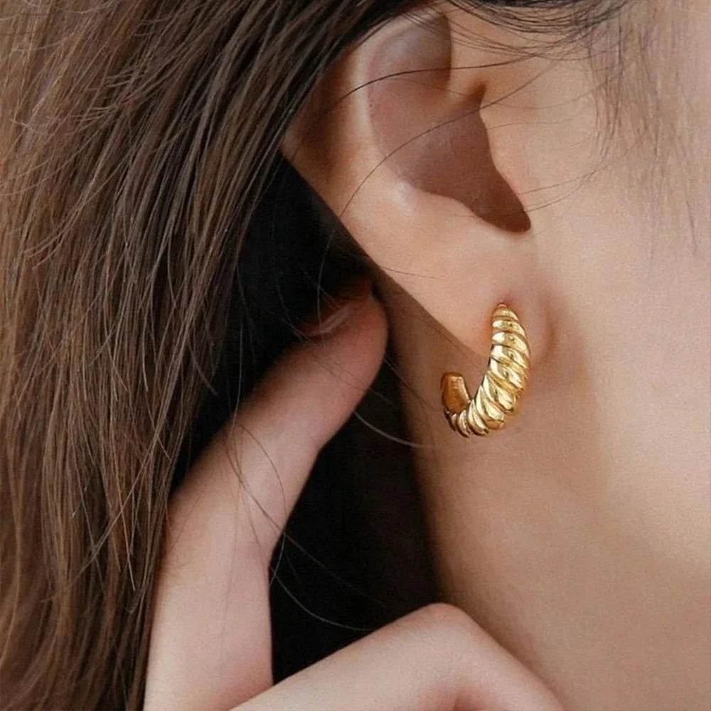Vintage Croissant Stainless Steel Hoop Earrings